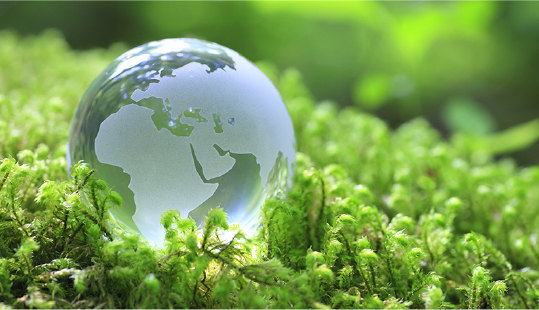 スリム化によるCO2 削減